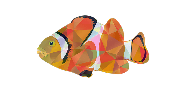 Blackfin Congo Tetra